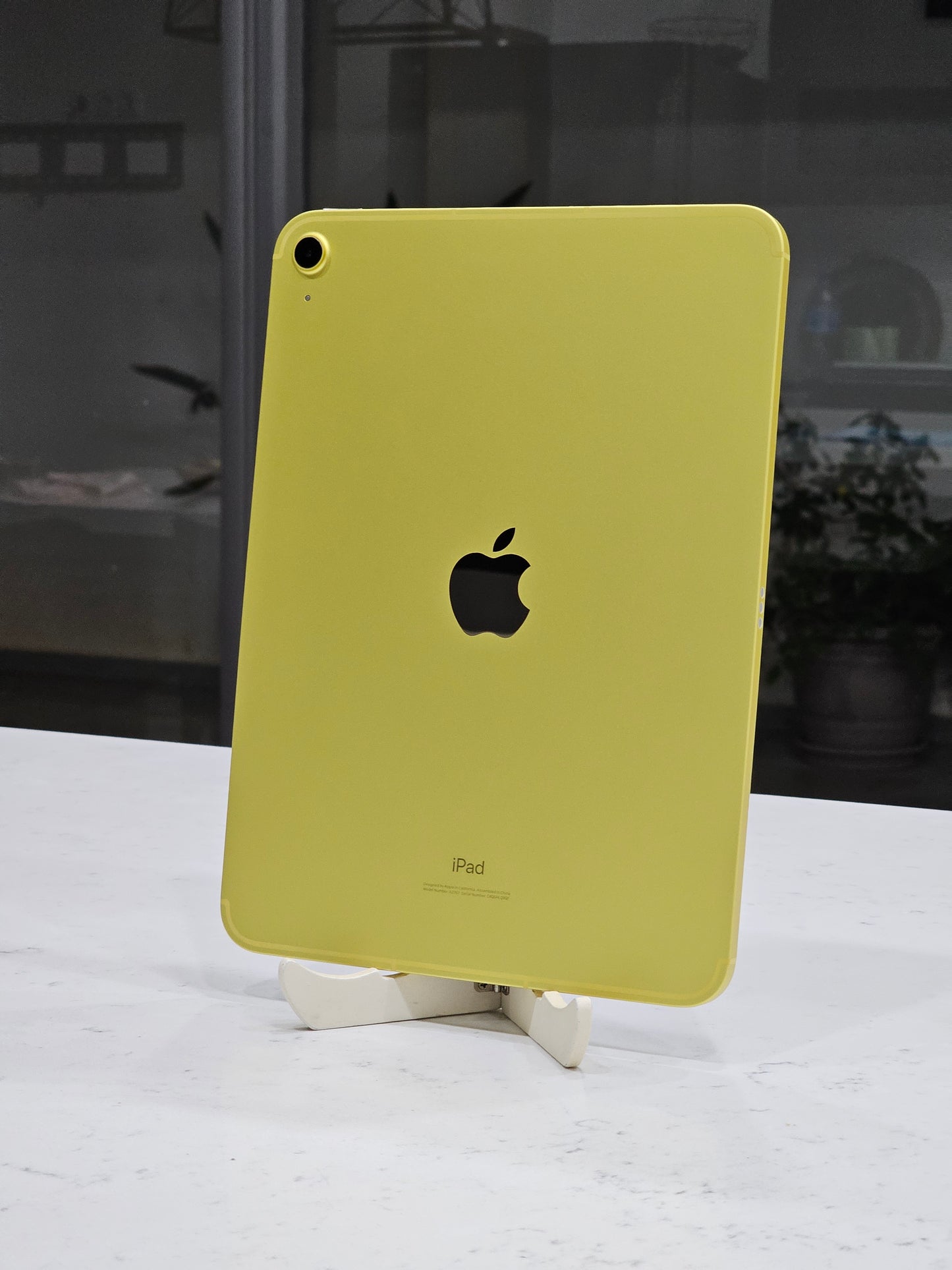 iPad 10th cellulaire 64GB