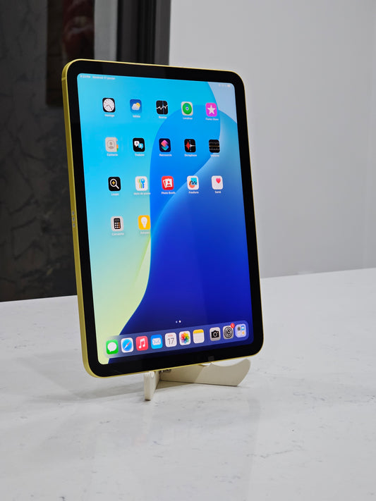 iPad 10th cellulaire 64GB